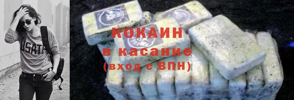 индика Абинск