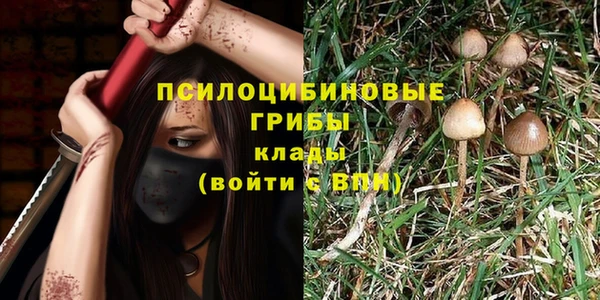 герыч Алзамай