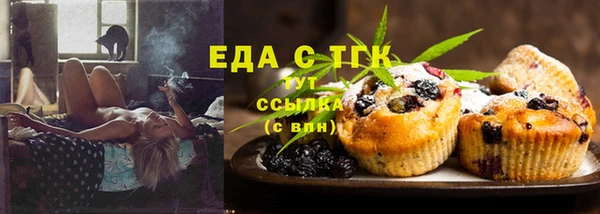 индика Абинск