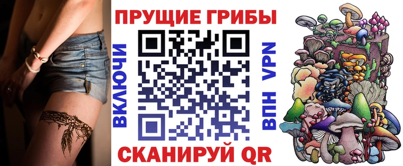 Галлюциногенные грибы мицелий  Циолковский 
